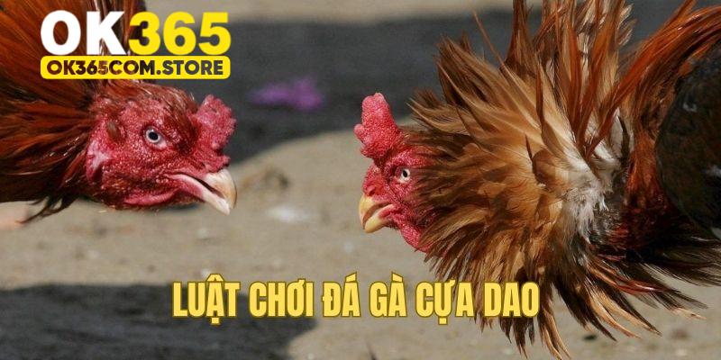 Luật thi đấu trong chọi kê cựa dao Luật thi đấu trong chọi kê cựa dao